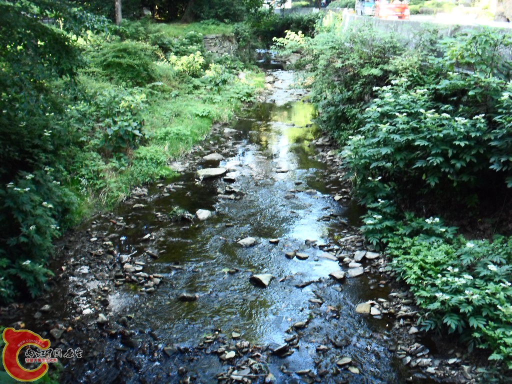 SDC13204.JPG