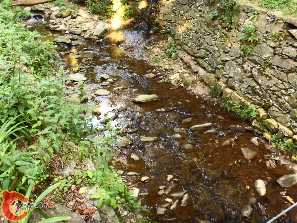 SDC13206.JPG