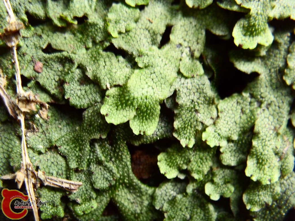 SDC13207.JPG