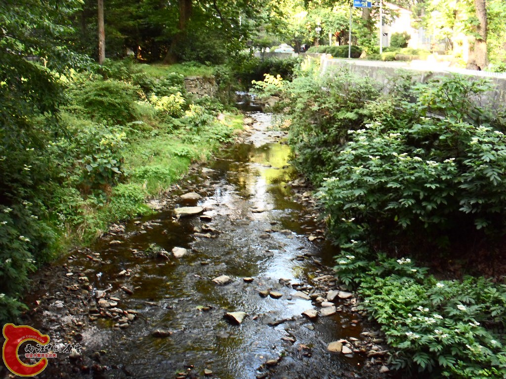 SDC13205.JPG