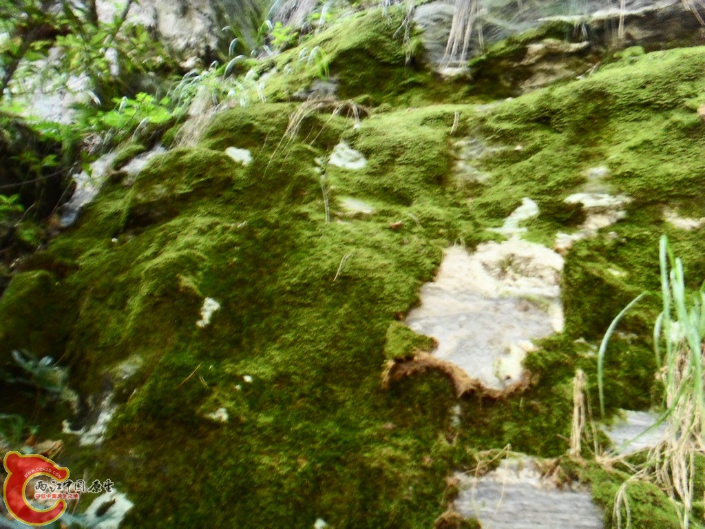SDC13445.JPG