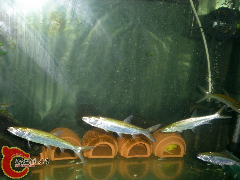 2010-08-08_17-43-22.JPG