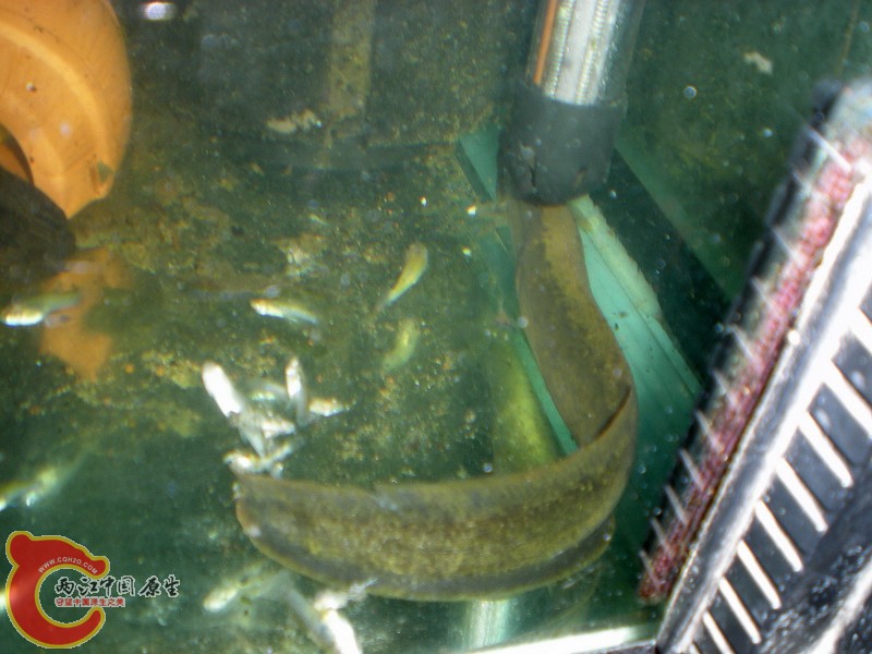 2010-08-08_17-53-46.JPG
