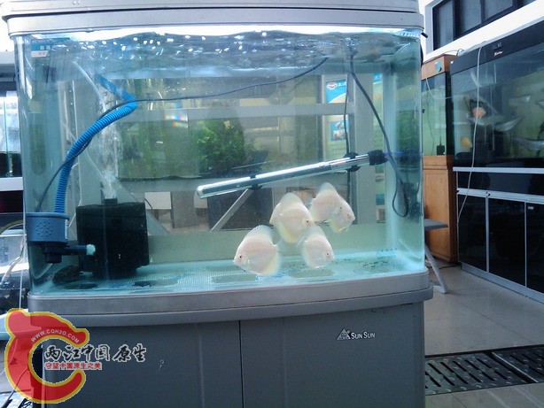 IMAG0220_缩小大小.jpg