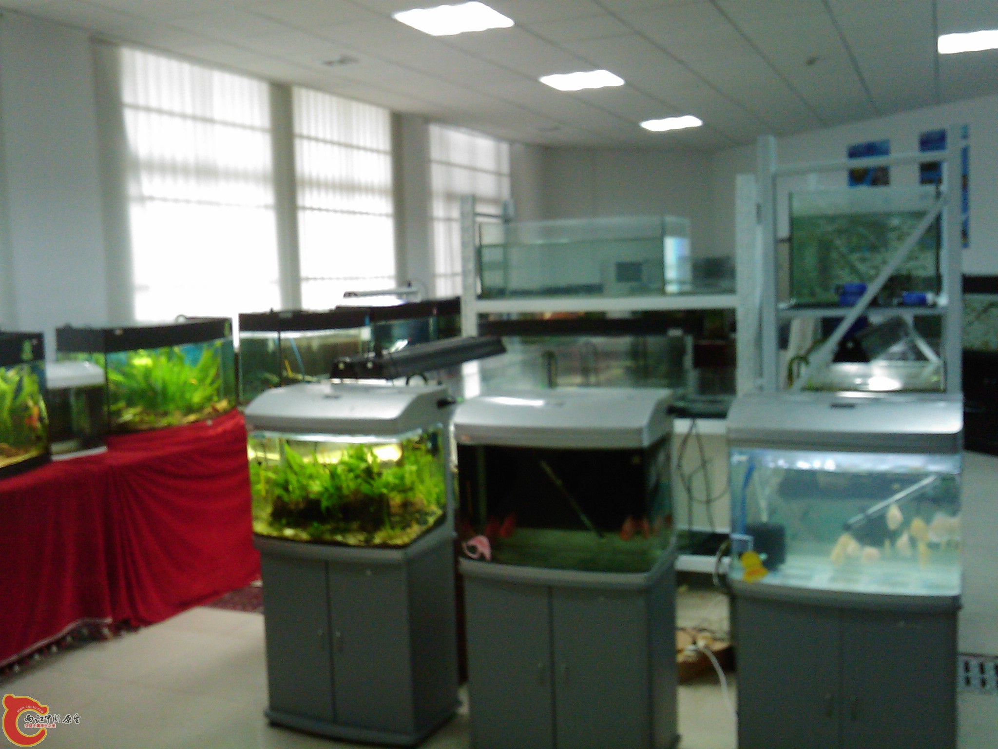 IMAG0098.jpg
