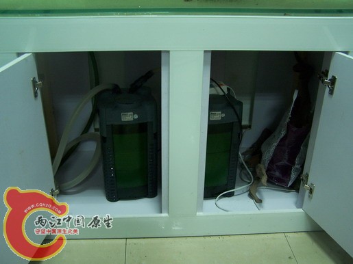 100_8511_缩小大小.JPG