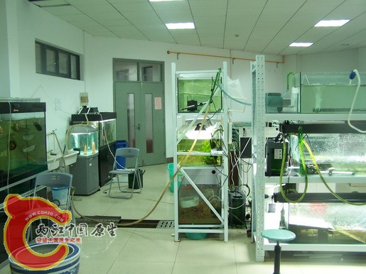 100_8600_缩小大小.JPG