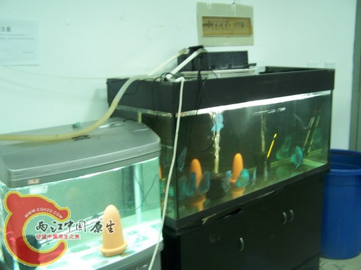 100_8613_缩小大小.JPG