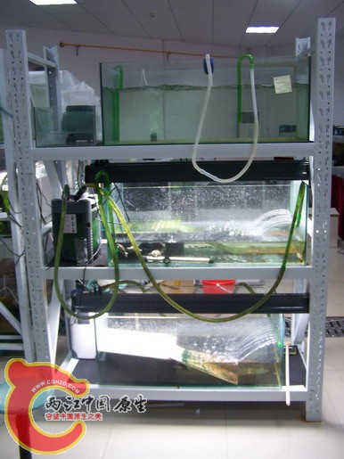 100_8603_缩小大小.JPG