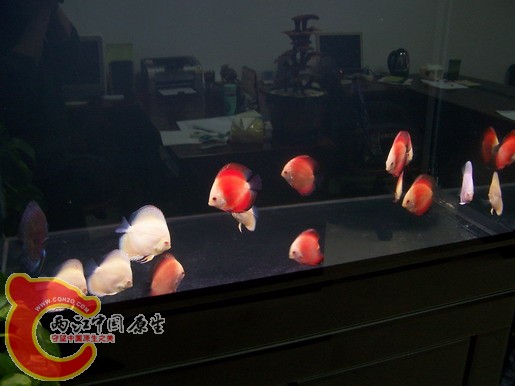 100_8521_缩小大小.JPG