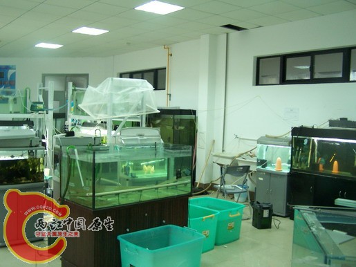 100_8591_缩小大小.JPG