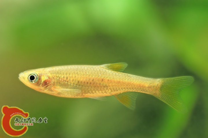 IMG_2498 副本.jpg