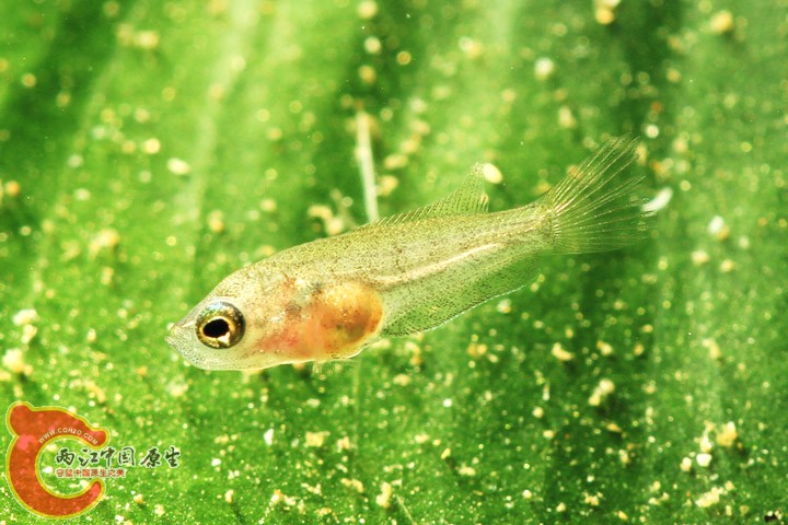 IMG_2507 副本.jpg
