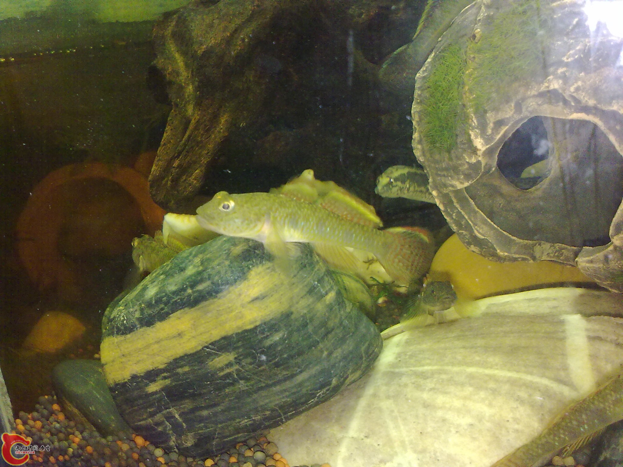 20100811197.jpg