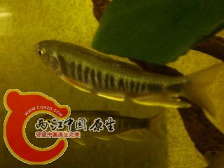 DSC03744.jpg