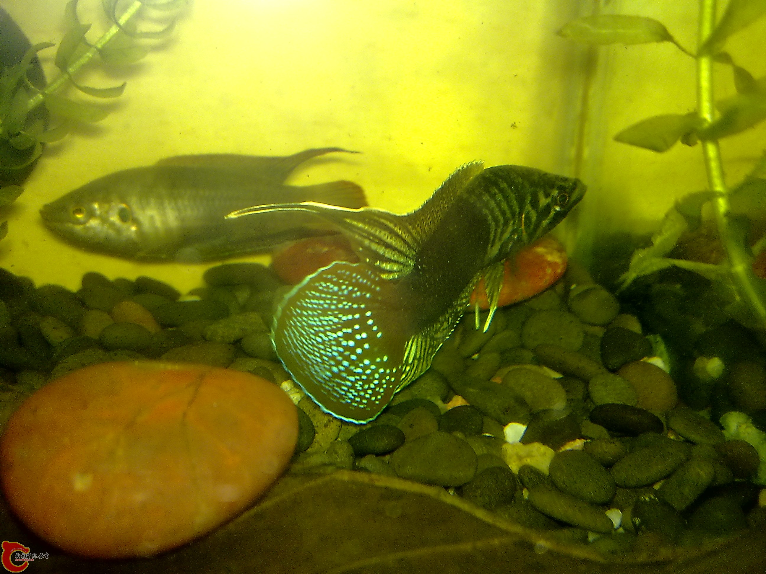 201007153152.jpg