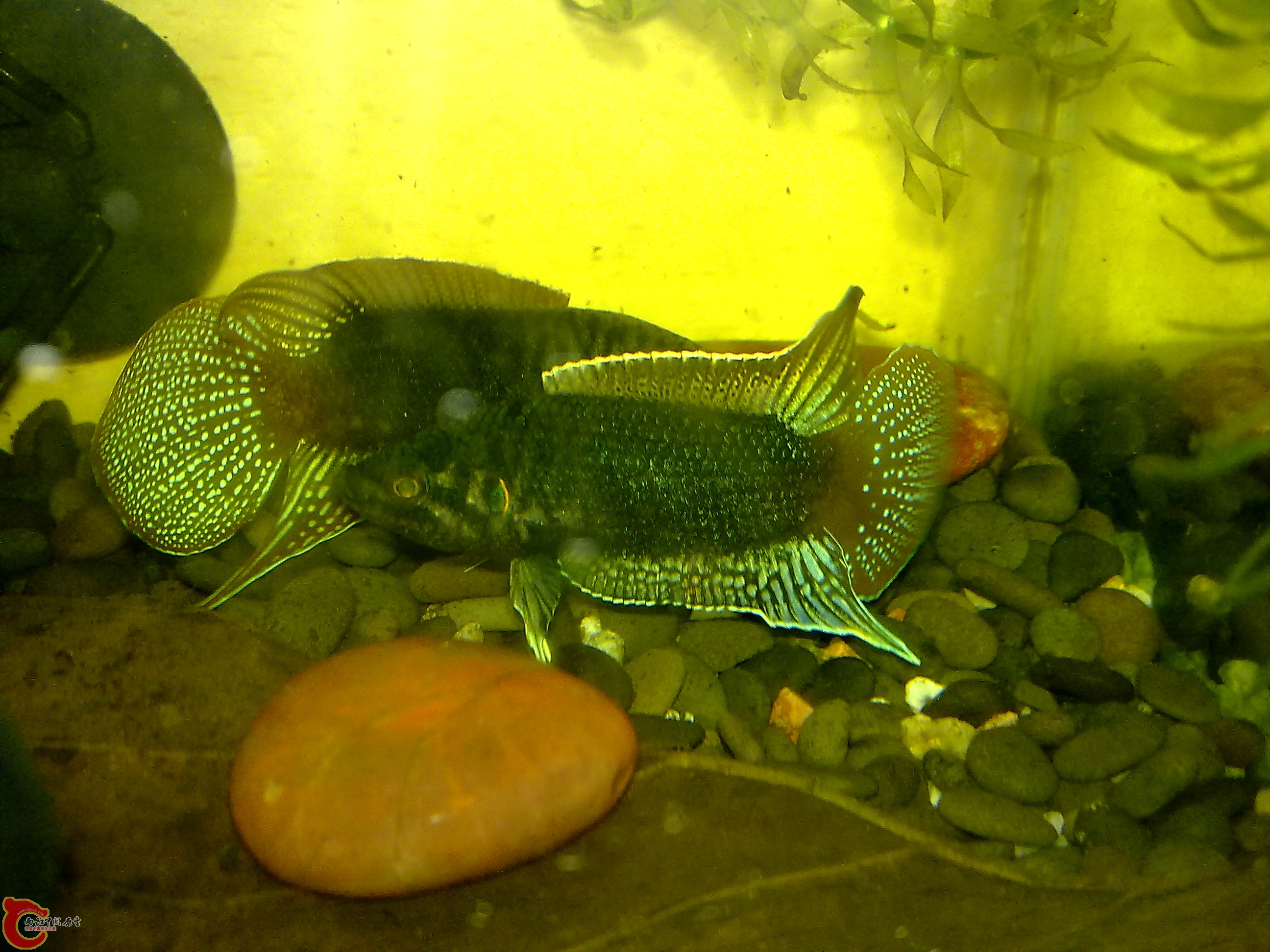 201007173159.jpg