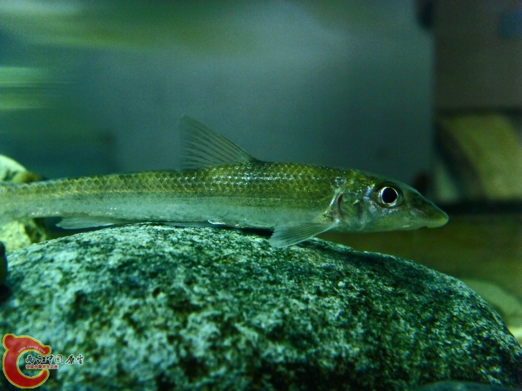SDC14108.JPG