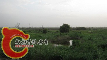 IMG_0030.JPG