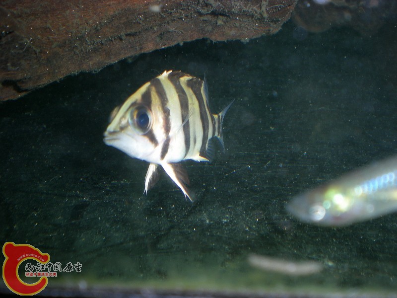 2010-08-15_18-01-26.JPG