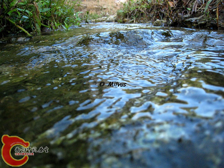 水流2.JPG