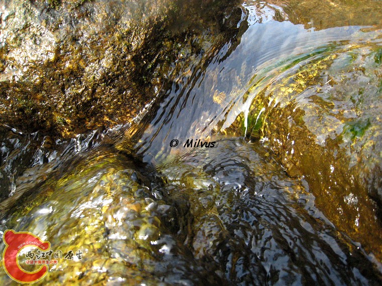 水流4.JPG