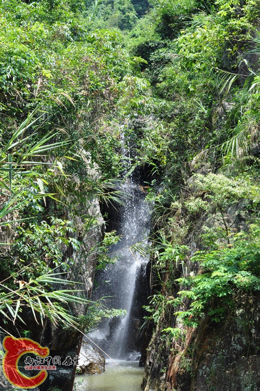 DSC_0241.JPG