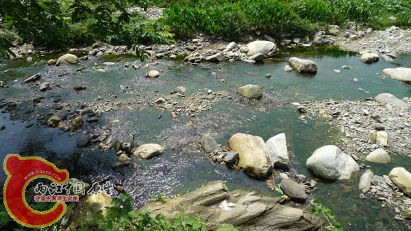 P1010087.jpg