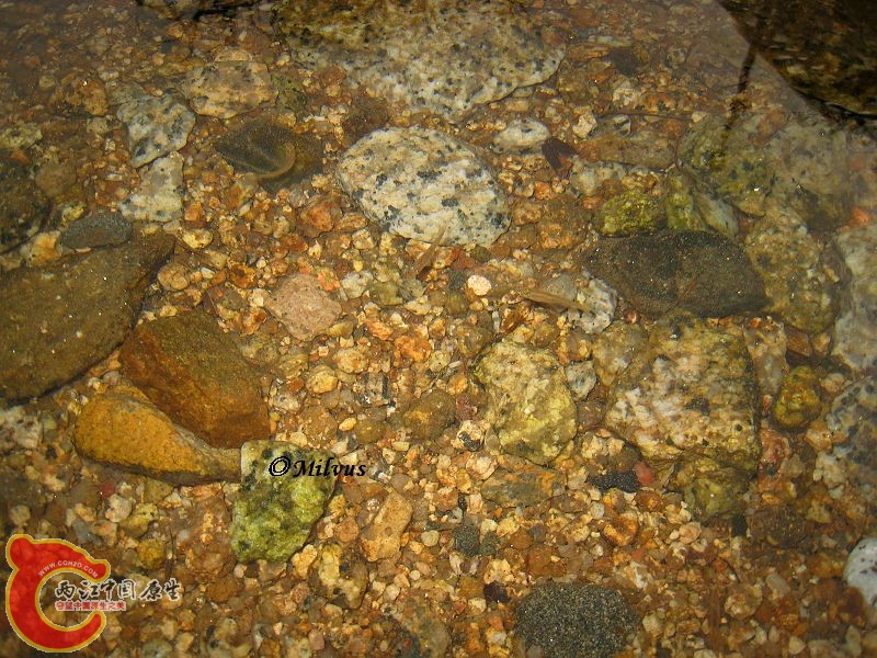 小马口4.JPG