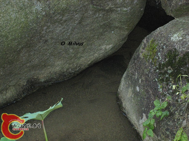 马口山坑2.JPG