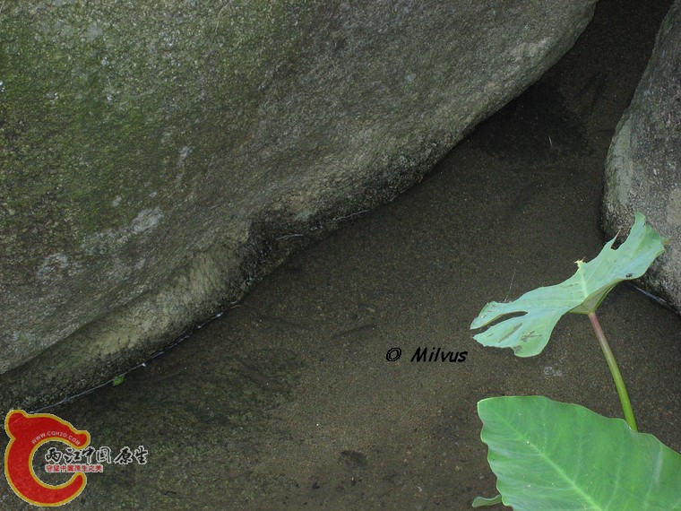 马口山坑1.JPG