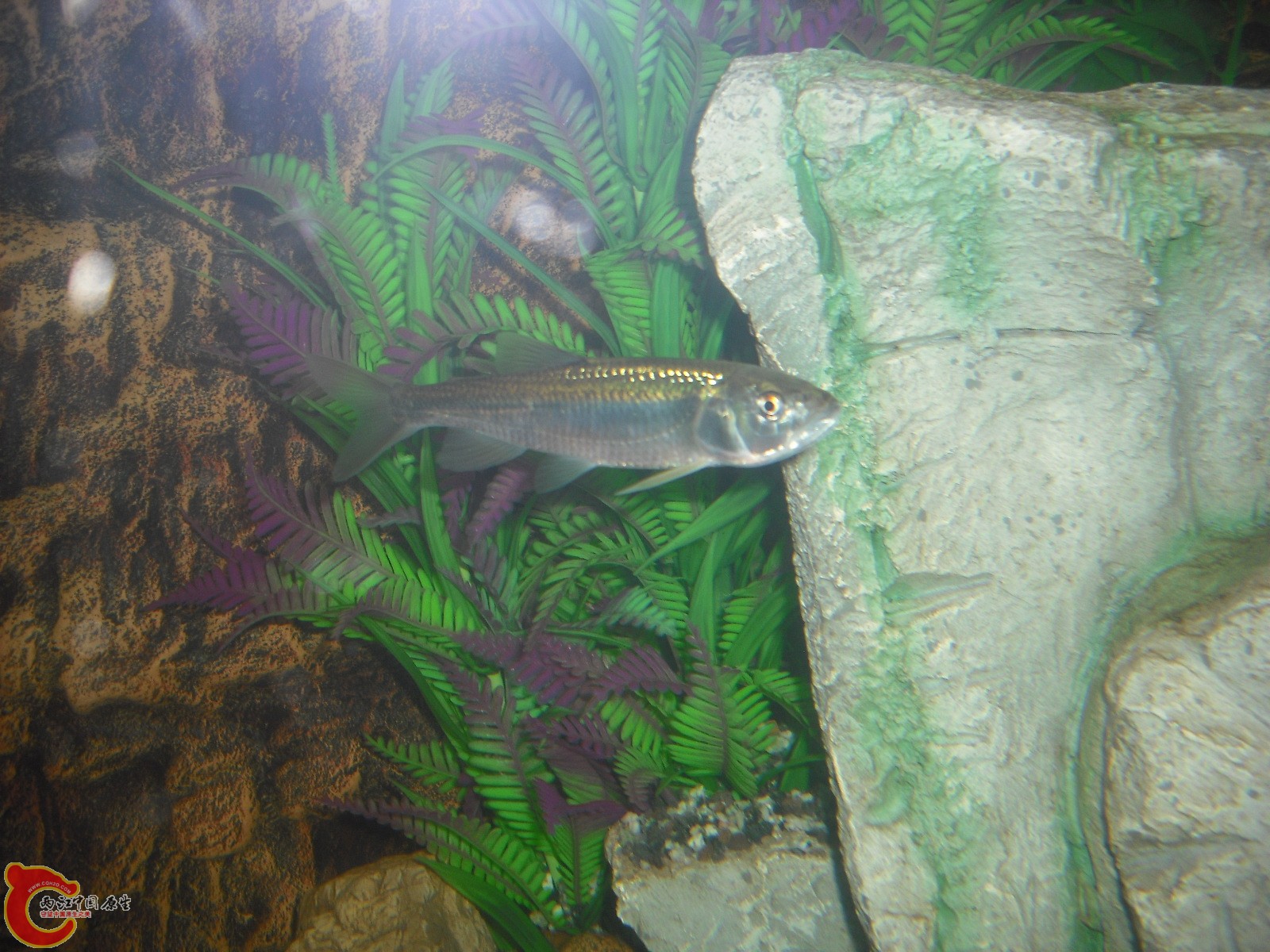 DSCF3364.JPG