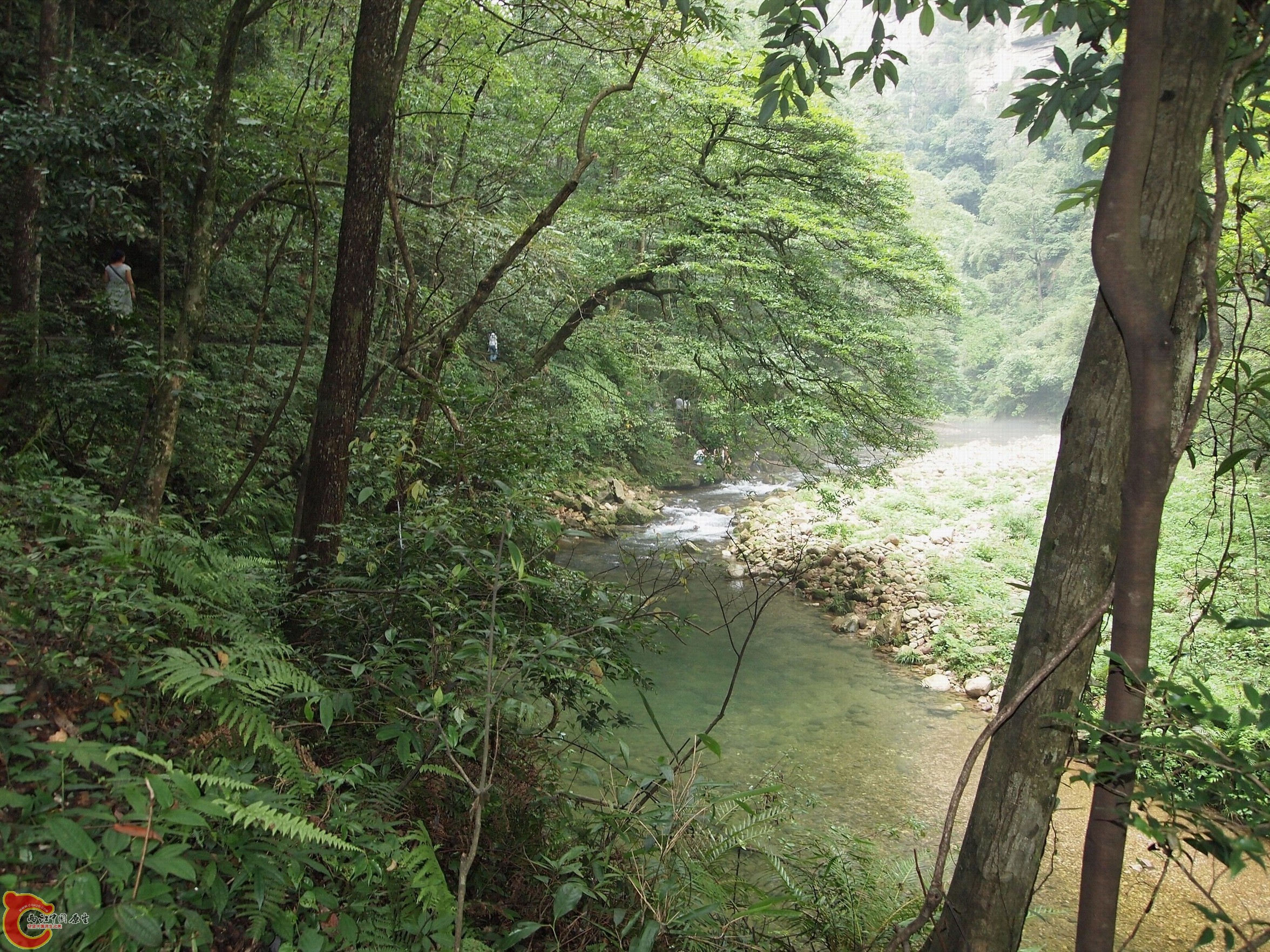 P8170994.JPG