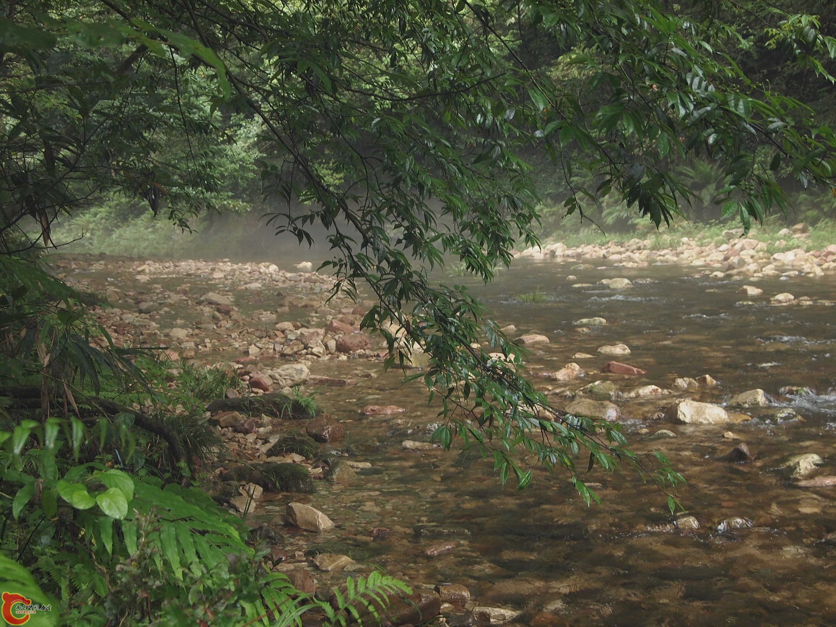 P8170998.JPG