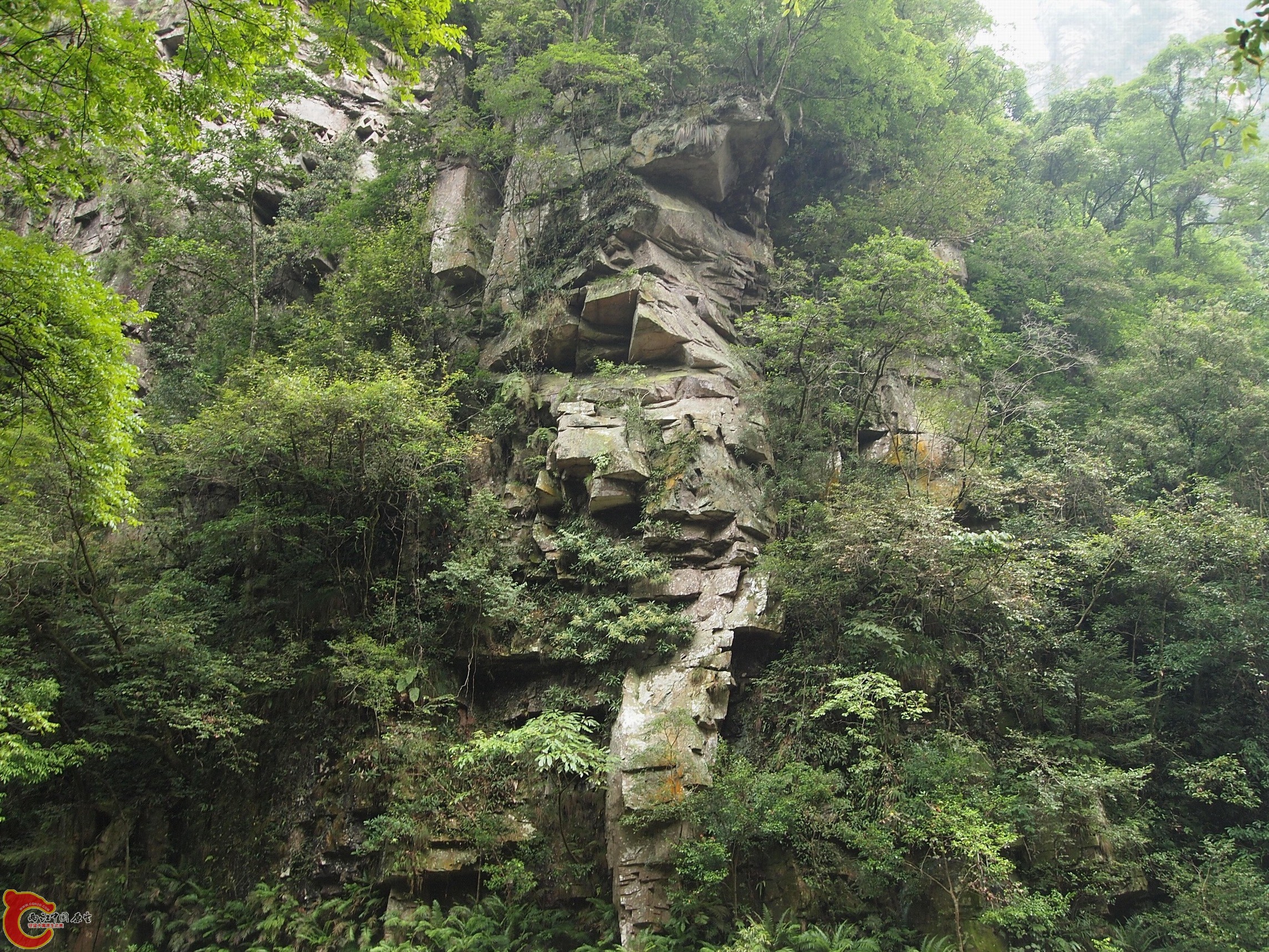 P8171000.JPG