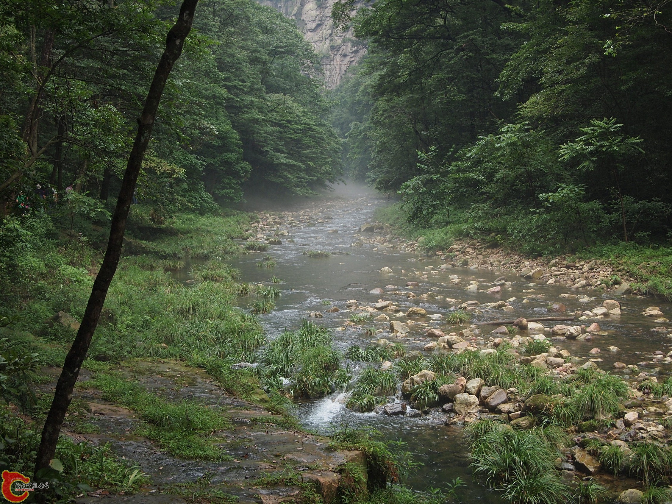 P8171008.JPG