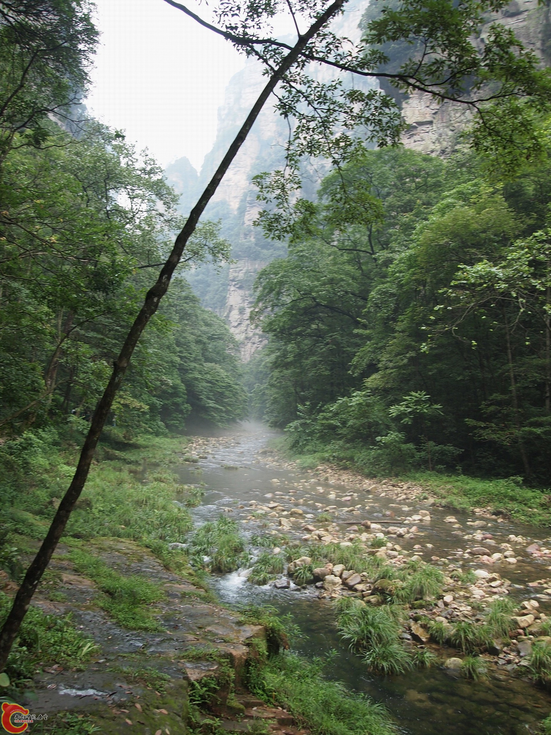 P8171010.JPG