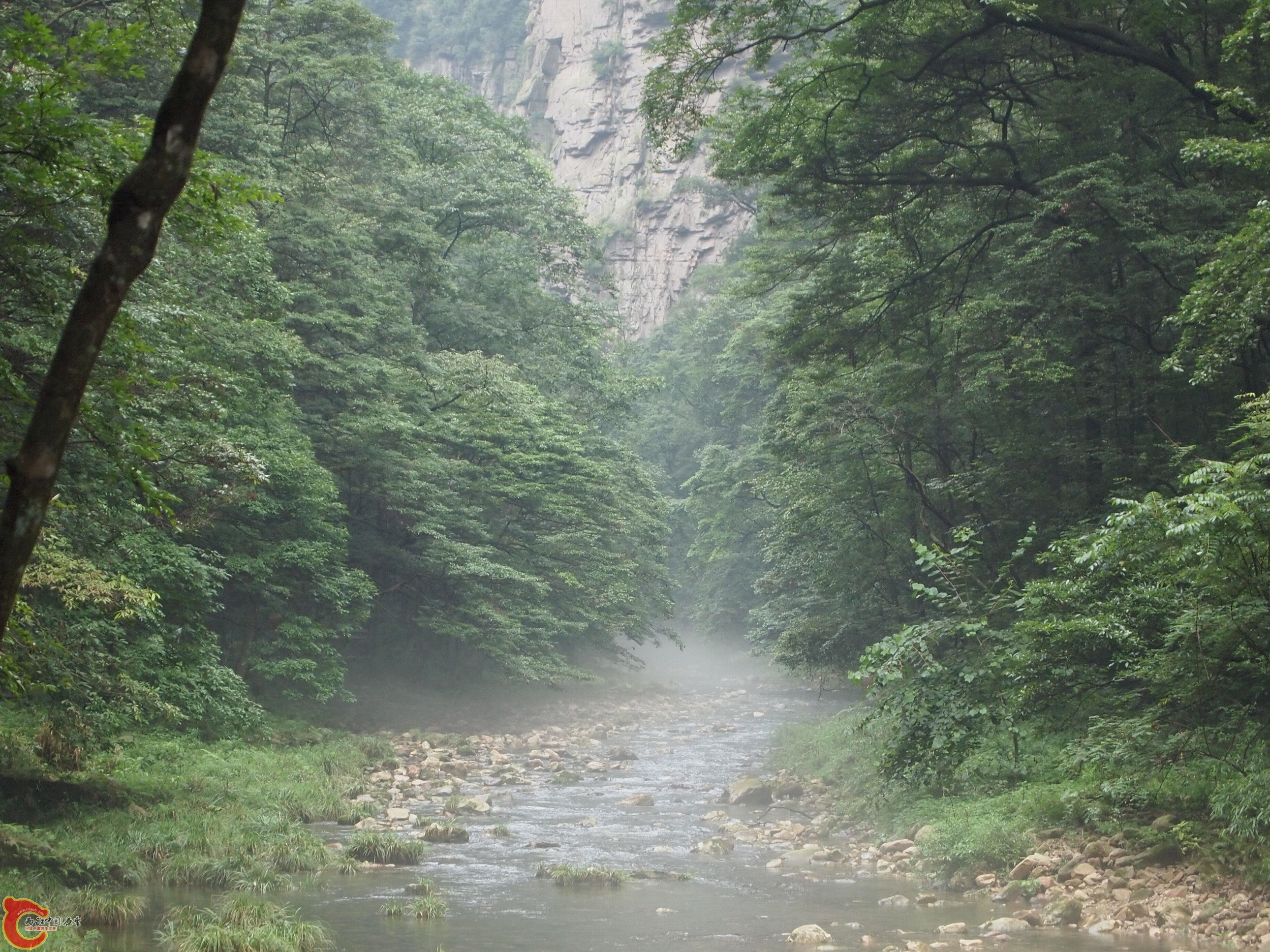 P8171009.JPG