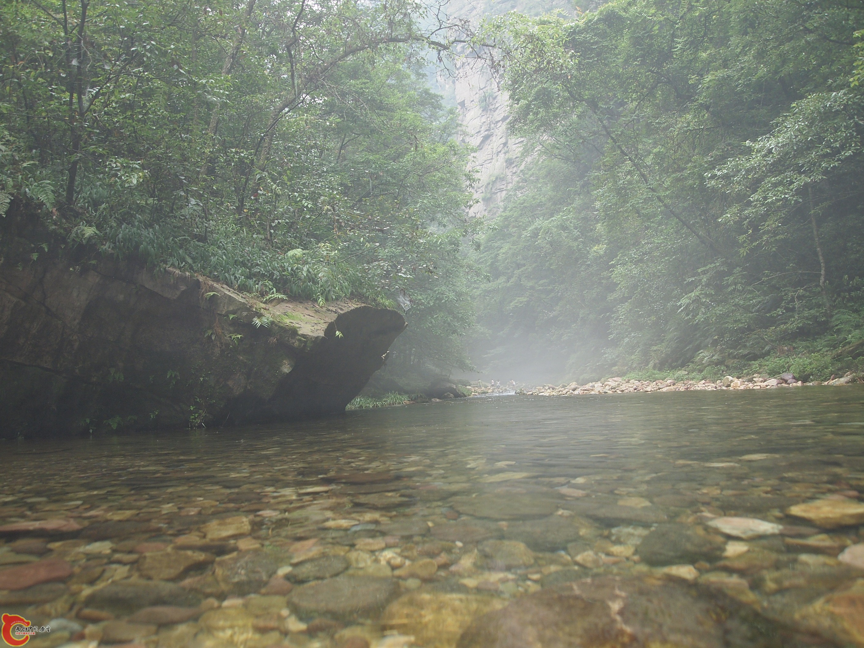 P8171027.JPG