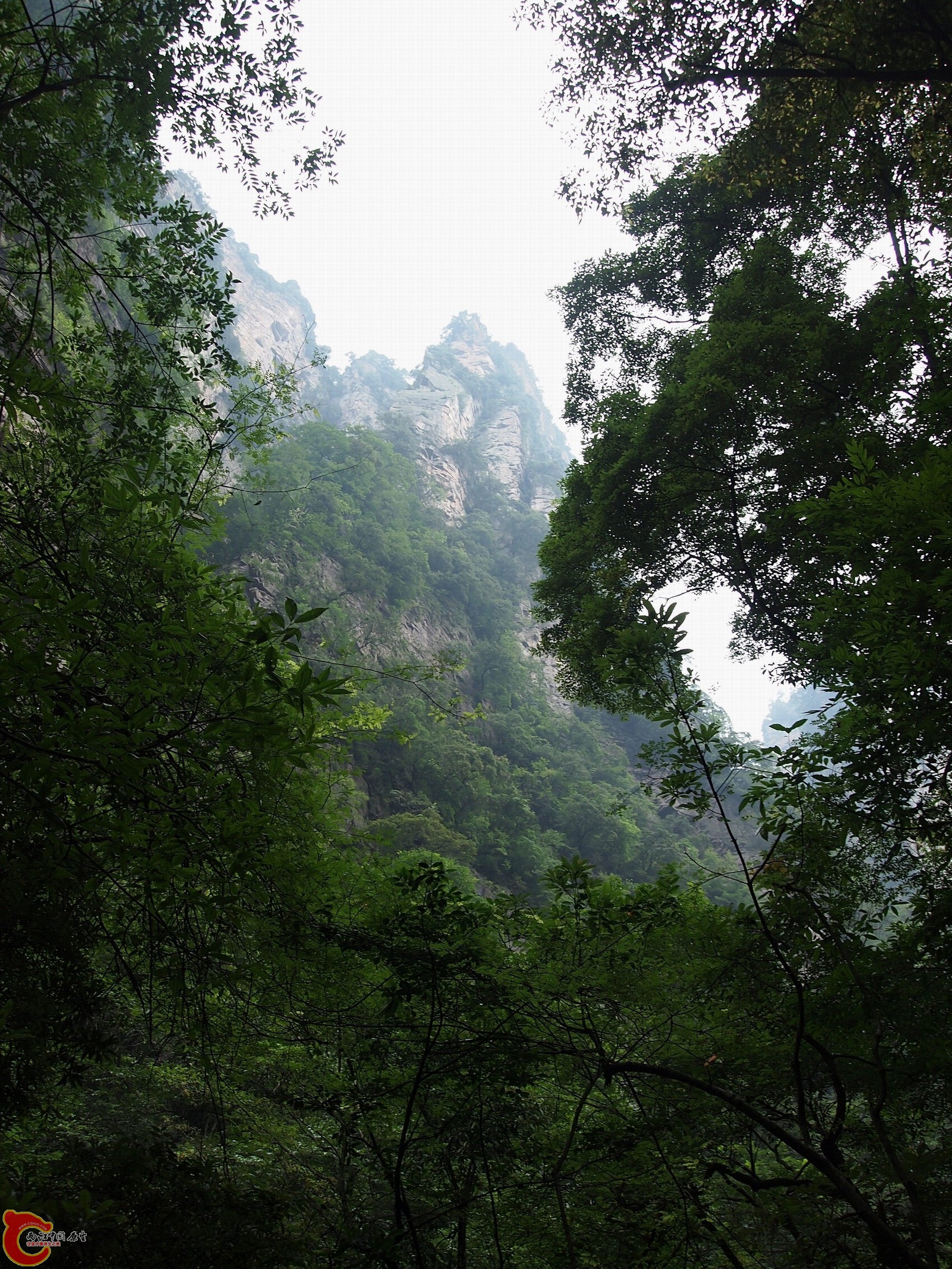 P8171046.JPG