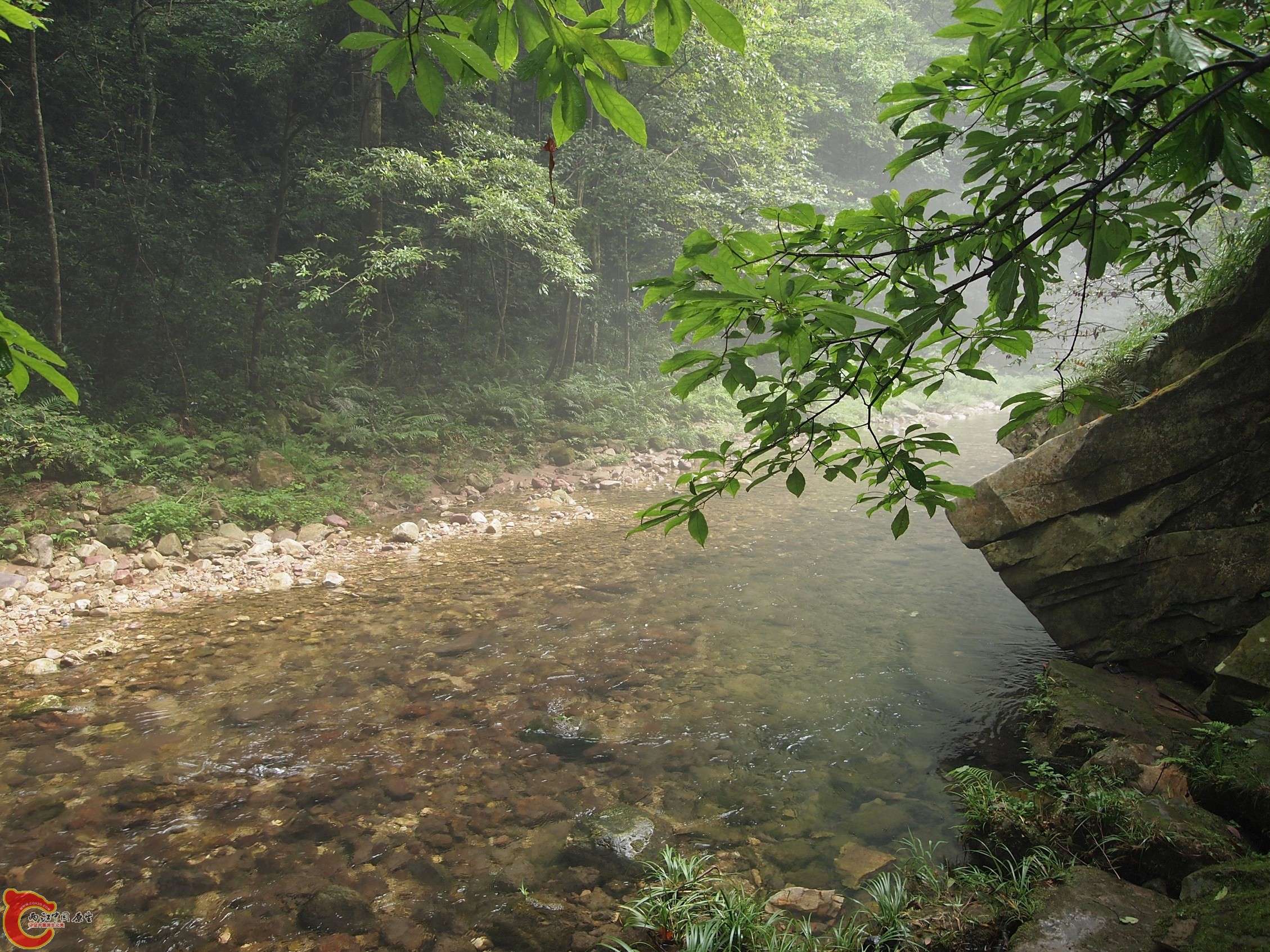 P8171055.JPG