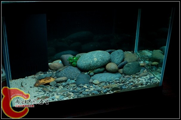 DSC_9113 (2).jpg