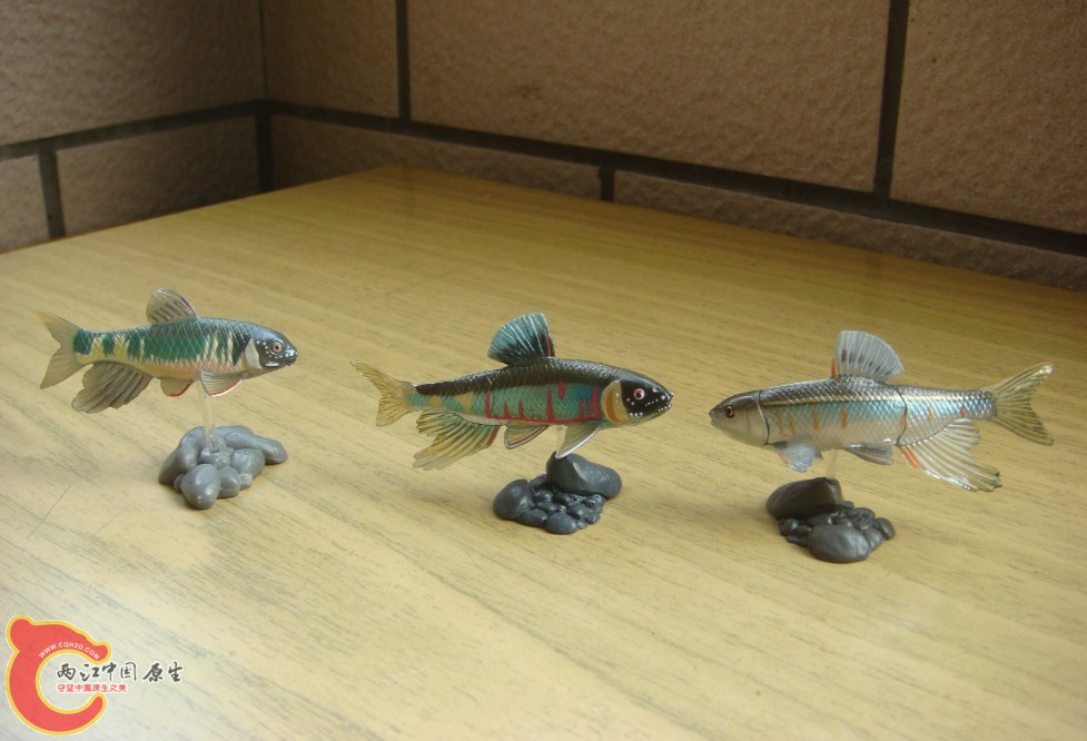 DSC03469.JPG