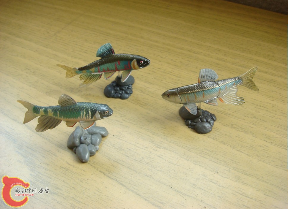 DSC03464.JPG