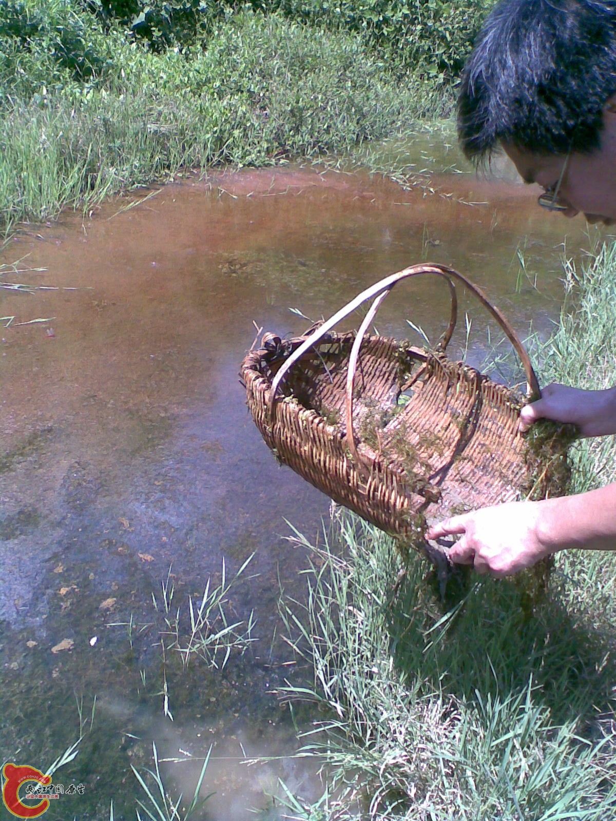 偶的朋友正在小野塘捞国斗！