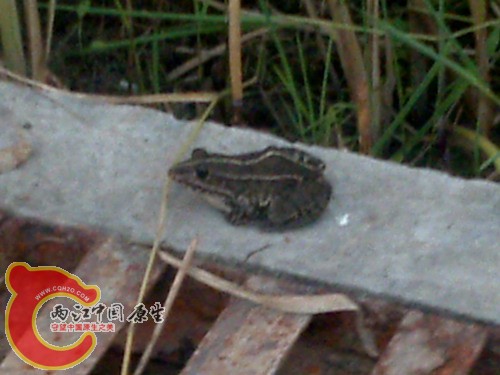 20100816162.jpg
