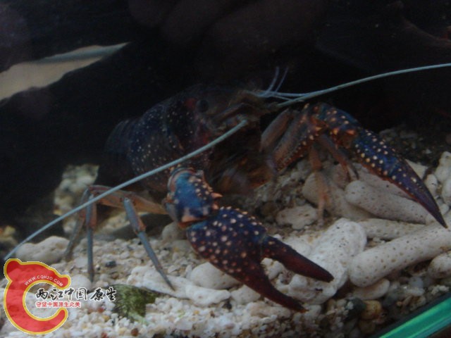 d81e900e070c20016159f312.jpg
