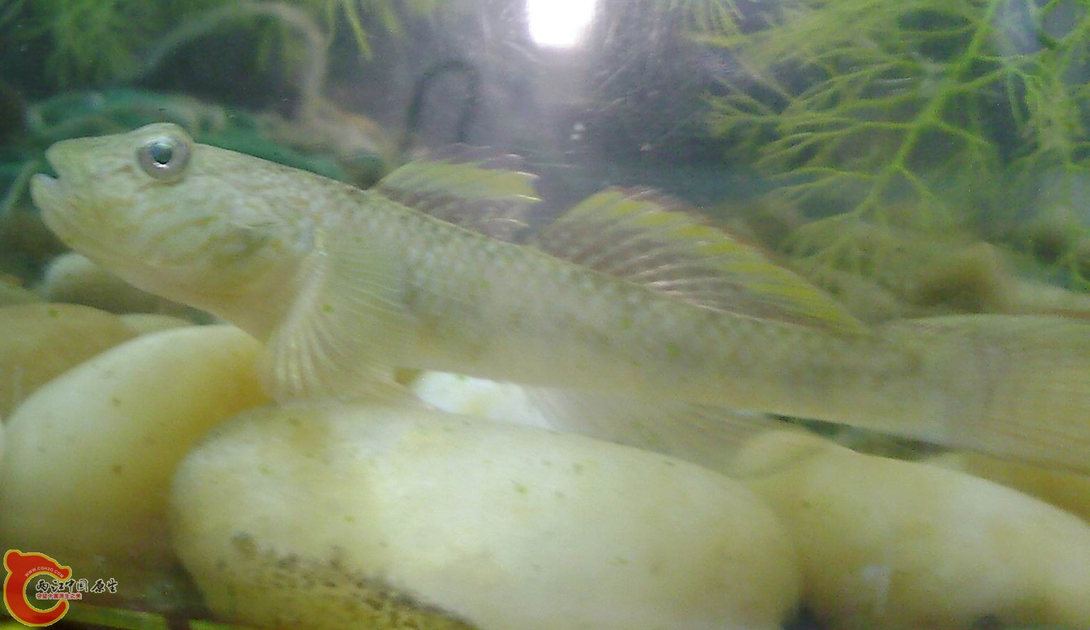 照片-013113.jpg