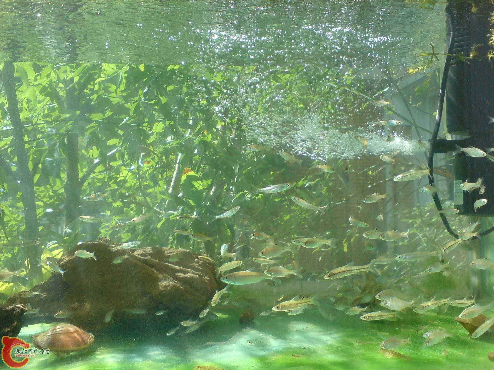 DSC00077.JPG