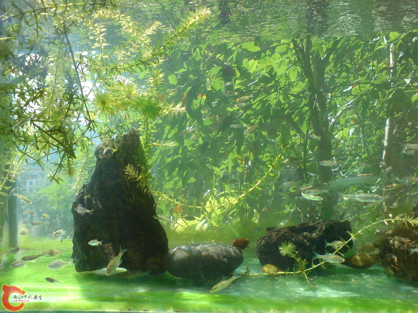 DSC00078.JPG